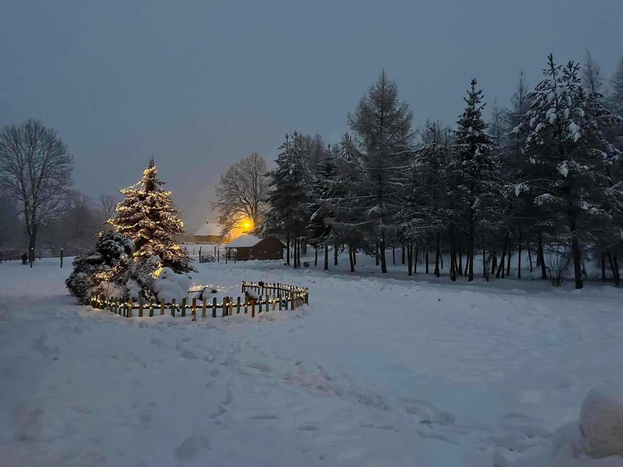 Latarnia Wagabundy Bieszczady Hotel Wola Michowa Luaran gambar