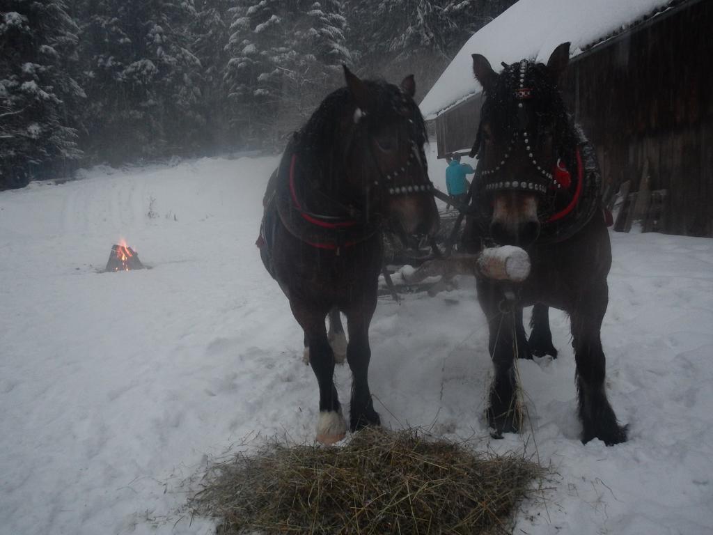 Latarnia Wagabundy Bieszczady Hotel Wola Michowa Luaran gambar