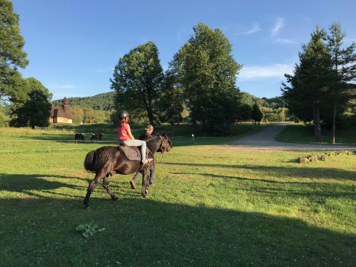 Latarnia Wagabundy Bieszczady Hotel Wola Michowa Luaran gambar